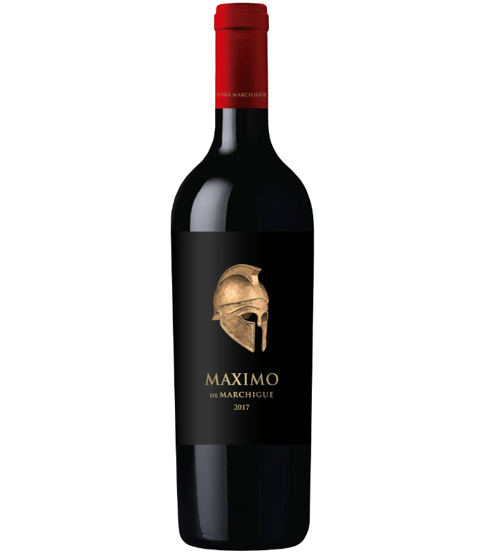 Maximo De Marchigue Blend Rødvin – Vina Marchigue